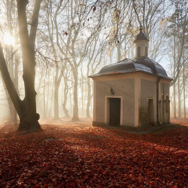 Zdjęcie przedstawiające kalwarię na Górze Św. Anny